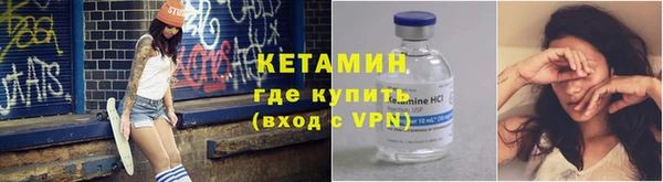 прущие грибы Лабытнанги