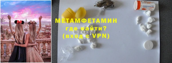 прущие грибы Лабытнанги