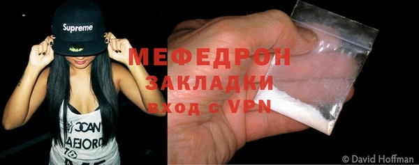 прущие грибы Лабытнанги