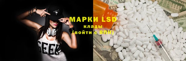 прущие грибы Лабытнанги