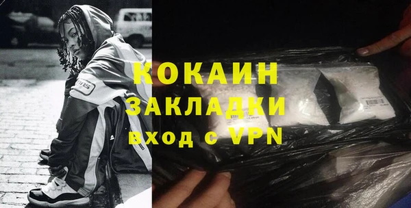 прущие грибы Лабытнанги