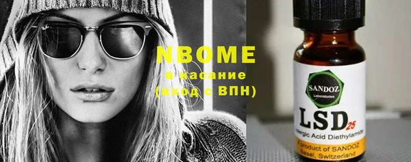 прущие грибы Лабытнанги