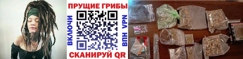 наркота  Наро-Фоминск  Псилоцибиновые грибы Cubensis 